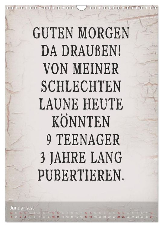 Produktbild: Ziemlich schlecht gelaunt (Wandkalender 2026 DIN A3 hoch), CALVENDO Monatskalender
