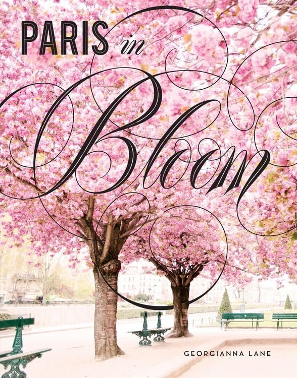 Produktbild: Paris in Bloom