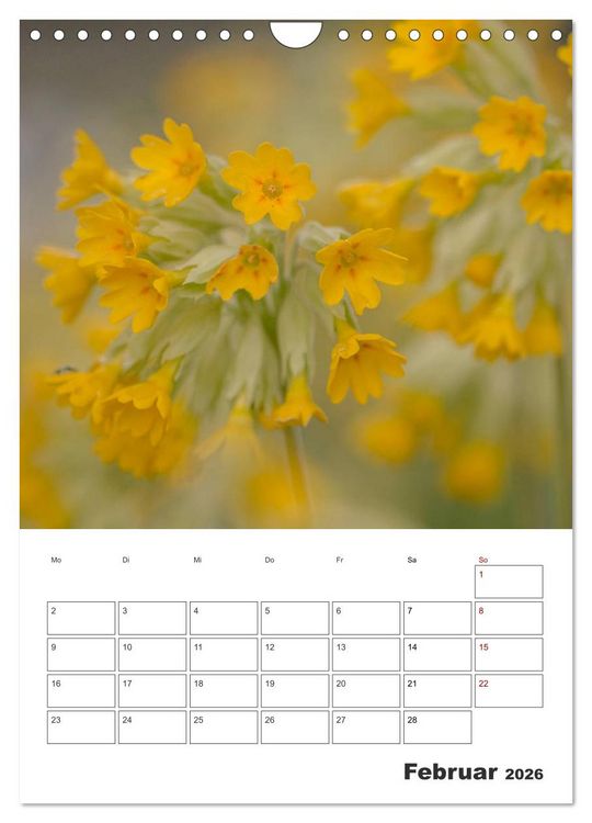 Produktbild: Farbiger Bl&uuml;tentraum (Wandkalender 2026 DIN A4 hoch), CALVENDO Monatskalender