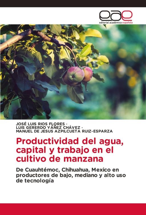 Produktbild: Productividad del agua, capital y trabajo en el cultivo de manzana