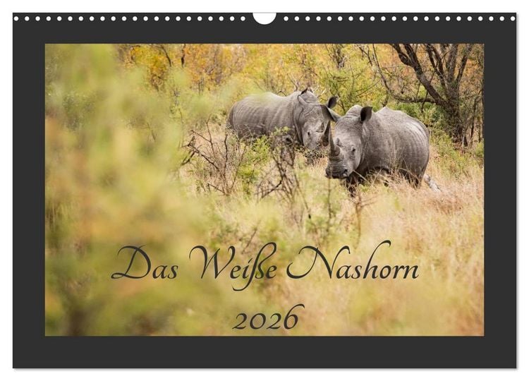 Produktbild: Das Wei&szlig;e Nashorn (Wandkalender 2026 DIN A3 quer), CALVENDO Monatskalender