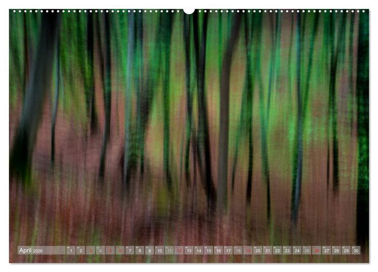 Produktbild: Atelier Wald - gemalt mit Licht (hochwertiger Premium Wandkalender 2026 DIN A2 quer), Kunstdruck in Hochglanz