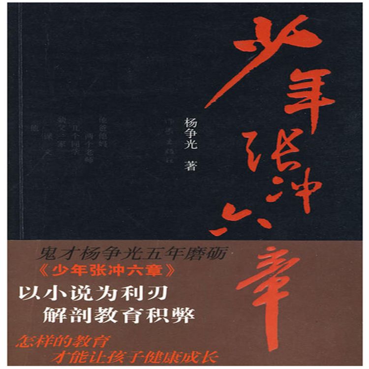 Produktbild: 少年张冲六章