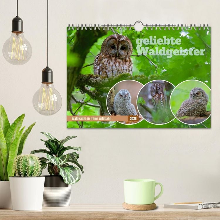 Produktbild: geliebte Waldgeister (Wandkalender 2026 DIN A4 quer), CALVENDO Monatskalender