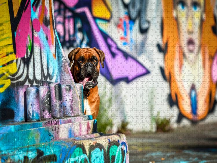 Produktbild: CALVENDO Puzzle Boxer an einer Graffitywand | 1000 Teile Lege-Gr&ouml;&szlig;e 64x48cm Foto-Puzzle f&uuml;r gl&uuml;ckliche Stunden
