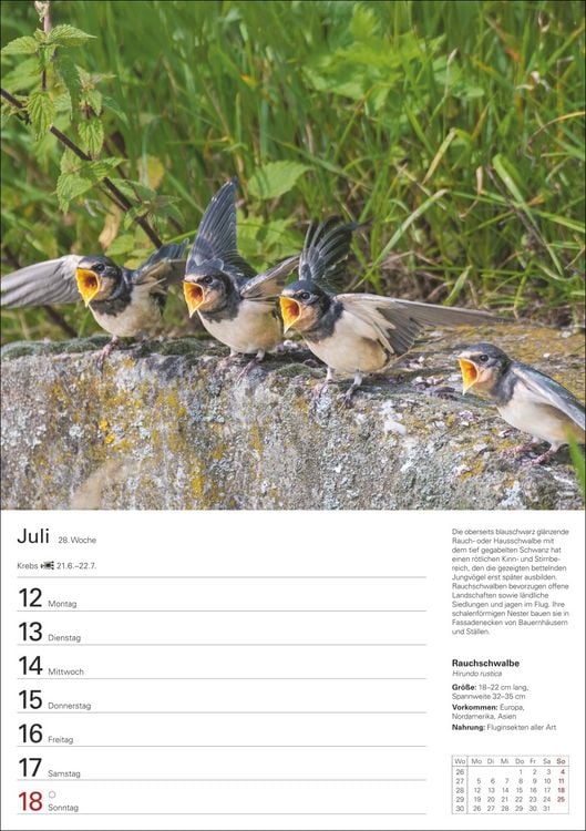 Produktbild: Heimische V&ouml;gel Wochenplaner 2027 - 53 faszinierende Fotografien