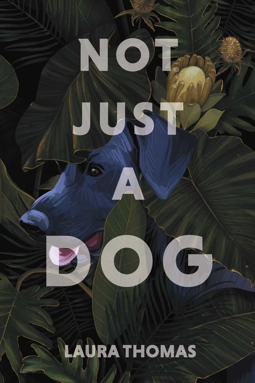 Produktbild: Not Just a Dog