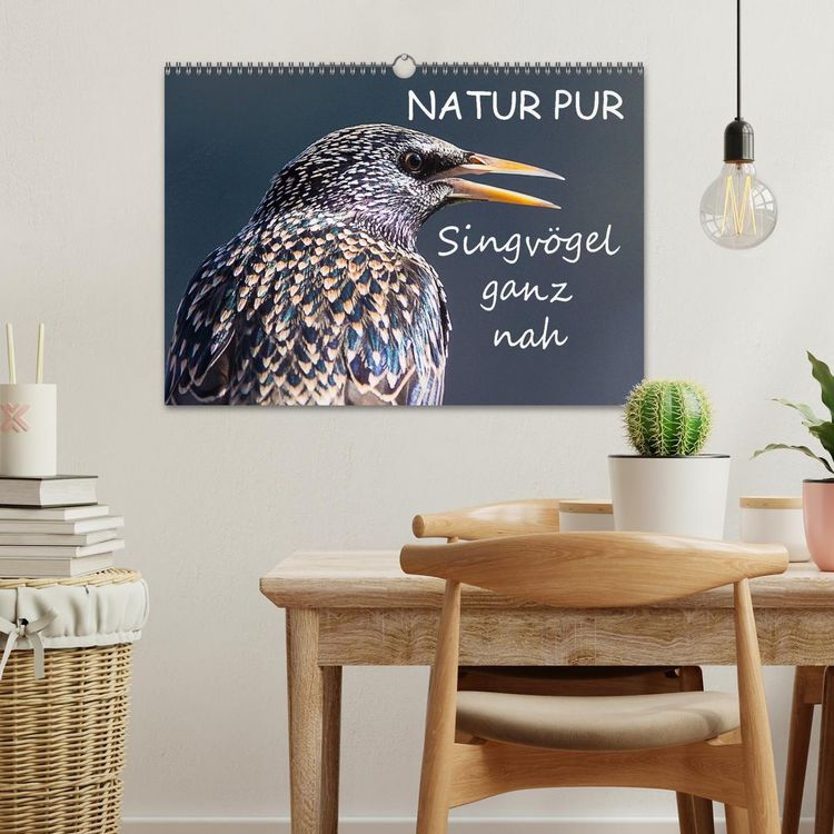 Produktbild: NATUR PUR - Singv&ouml;gel ganz nah (Wandkalender 2026 DIN A3 quer), CALVENDO Monatskalender
