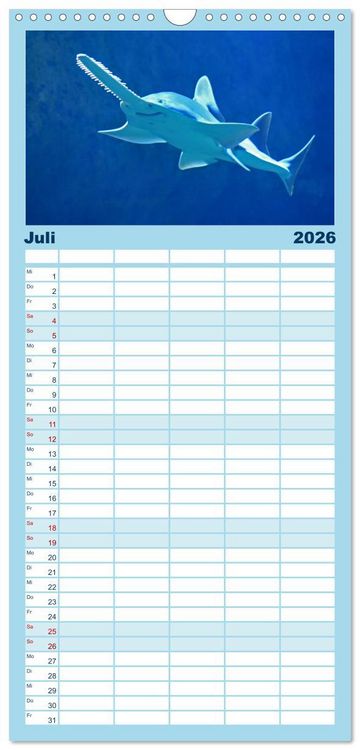 Produktbild: Familienplaner 2026 - Haie - K&ouml;nige der Meere. mit 5 Spalten (Wandkalender, 21 x 45 cm) CALVENDO