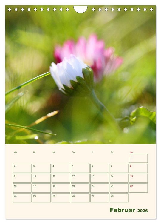 Produktbild: Vertr&auml;umte G&auml;nsebl&uuml;mchen (Wandkalender 2026 DIN A4 hoch), CALVENDO Monatskalender