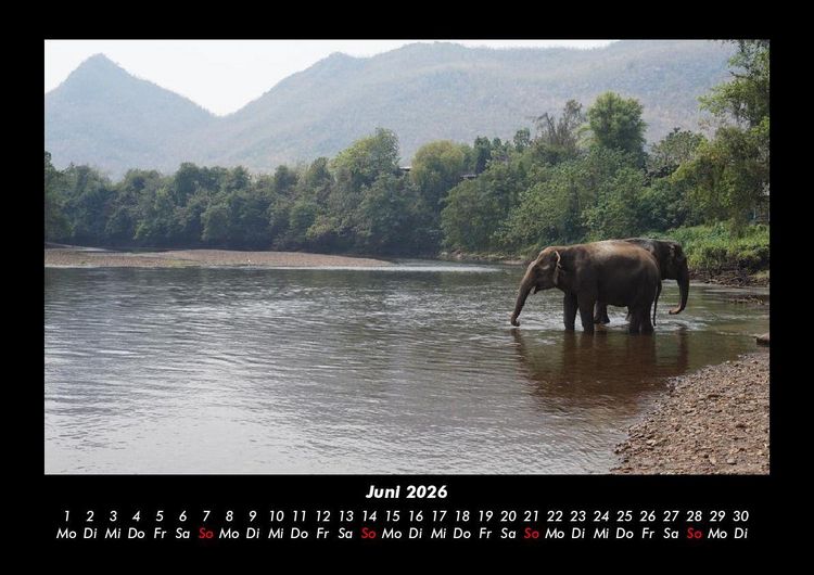 Produktbild: Der Elefantenkalender 2026 Fotokalender DIN A3
