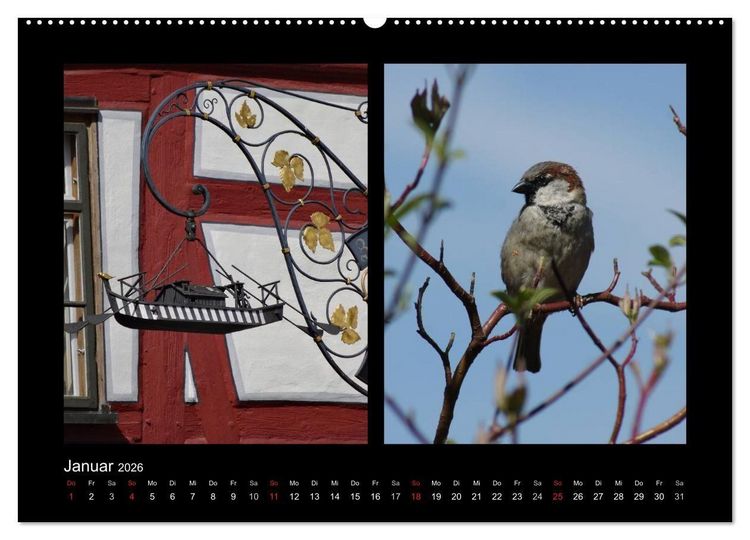 Produktbild: Ulmer Spatzen (Wandkalender 2026 DIN A2 quer), CALVENDO Monatskalender