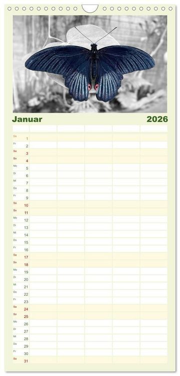 Produktbild: Familienplaner 2026 - Gefl&uuml;gelte Sch&ouml;nheiten der Tropen mit 5 Spalten (Wandkalender, 21 x 45 cm) CALVENDO