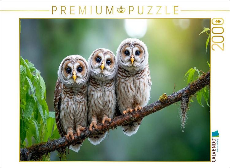 Produktbild: CALVENDO Puzzle Drei kleine K&auml;uzchen auf dem Ast | 2000 Teile Lege-Gr&ouml;&szlig;e 90x67cm Foto-Puzzle f&uuml;r gl&uuml;ckliche Stunden