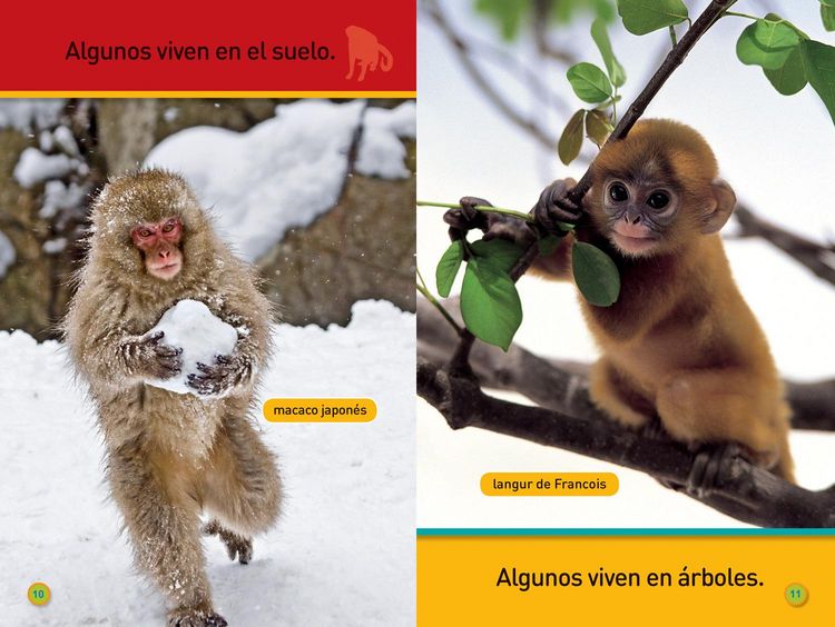 Produktbild: National Geographic Readers: &iexcl;Ag&aacute;rrate, Mono! (Pre-Reader)-Spanish Edition