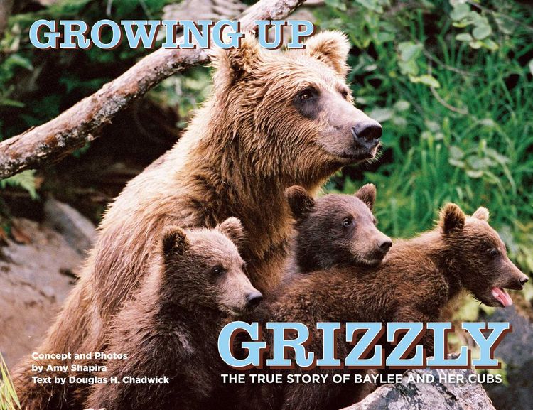 Produktbild: Growing Up Grizzly