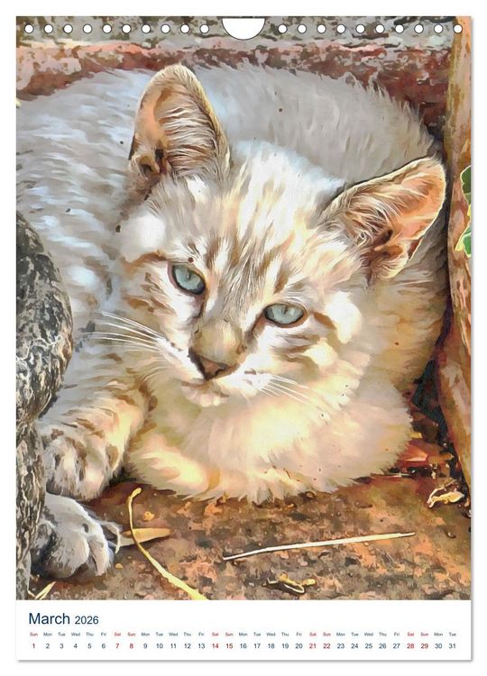 Produktbild: Umbrian Cats (Wall Calendar 2026 DIN A4 portrait), CALVENDO 12 Month Wall Calendar