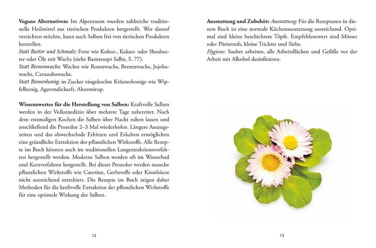 Produktbild: Das große kleine Buch: Heilsalben aus Wald und Wiese