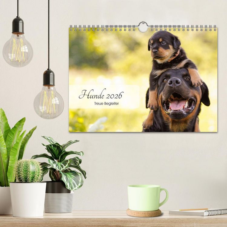 Produktbild: Hunde 2026 - Treue Begleiter (Wandkalender 2026 DIN A4 quer), CALVENDO Monatskalender