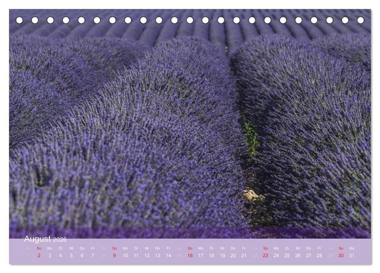 Produktbild: Die Farbe des Lavendels (Tischkalender 2026 DIN A5 quer), CALVENDO Monatskalender