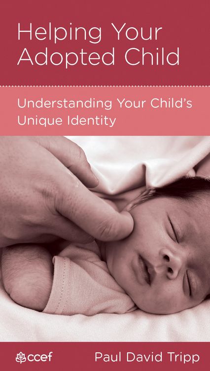 Produktbild: Helping Your Adopted Child