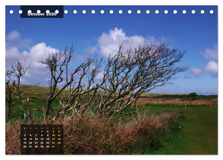 Produktbild: Texel Insel mit Charakter (Tischkalender 2026 DIN A5 quer), CALVENDO Monatskalender