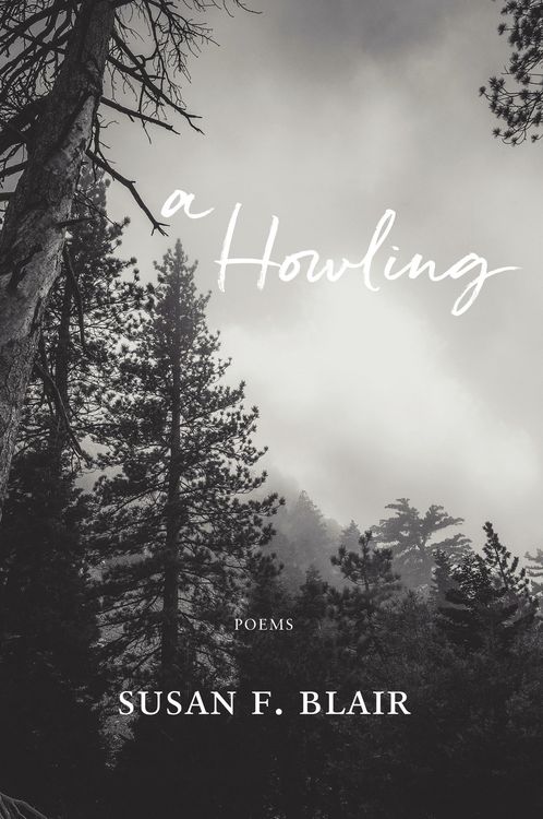 Produktbild: A Howling