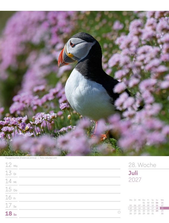 Produktbild: V&ouml;gel Wochenplaner Kalender 2027
