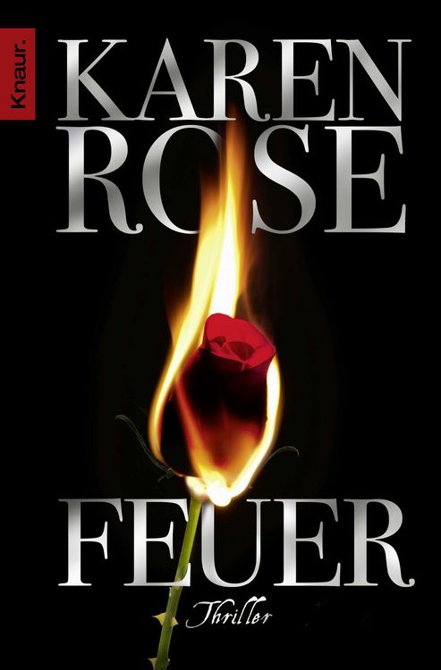 Produktbild: Feuer / Lady-Thriller Bd.11
