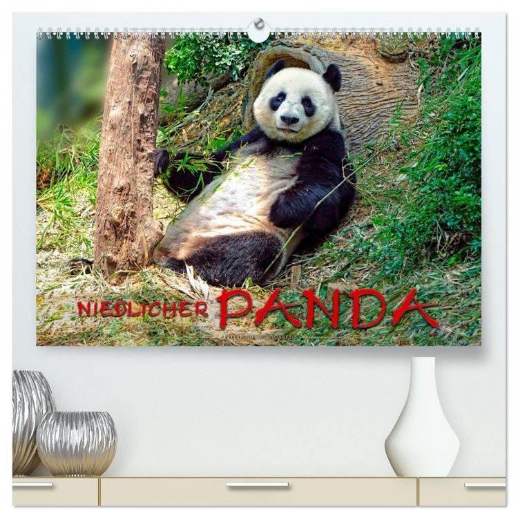 Produktbild: Niedlicher Panda (hochwertiger Premium Wandkalender 2026 DIN A2 quer), Kunstdruck in Hochglanz