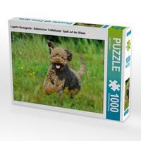Produktbild: CALVENDO Puzzle Lagotto Romagnolo - Italienischer Tr&uuml;ffelhund - Spa&szlig; auf der Wiese 1000 Teile Lege-Gr&ouml;&szlig;e 64 x 48 cm Foto-Puzzle Bild von Sigrid Starick