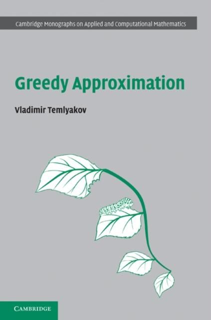 Produktbild: Greedy Approximation