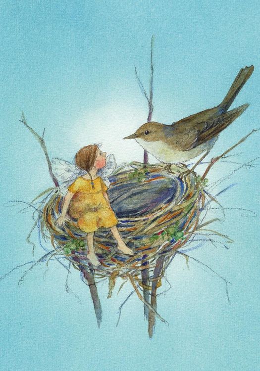 Produktbild: Postkartenbuch "Elfentr&auml;ume"