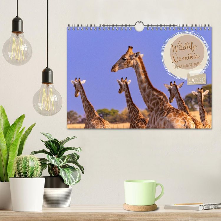 Produktbild: Wildlife Namibia - Etosha und Kalahari (Wandkalender 2026 DIN A4 quer), CALVENDO Monatskalender