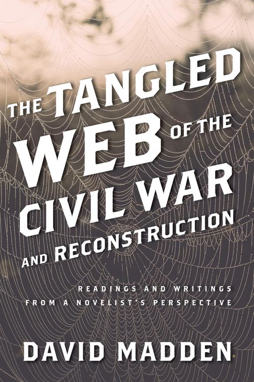 Produktbild: The Tangled Web of the Civil War and Reconstruction