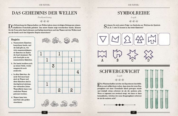 Produktbild: Einsteins Rätselbuch – Logikrätsel für geniale Köpfe