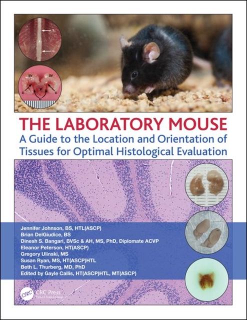 Produktbild: The Laboratory Mouse