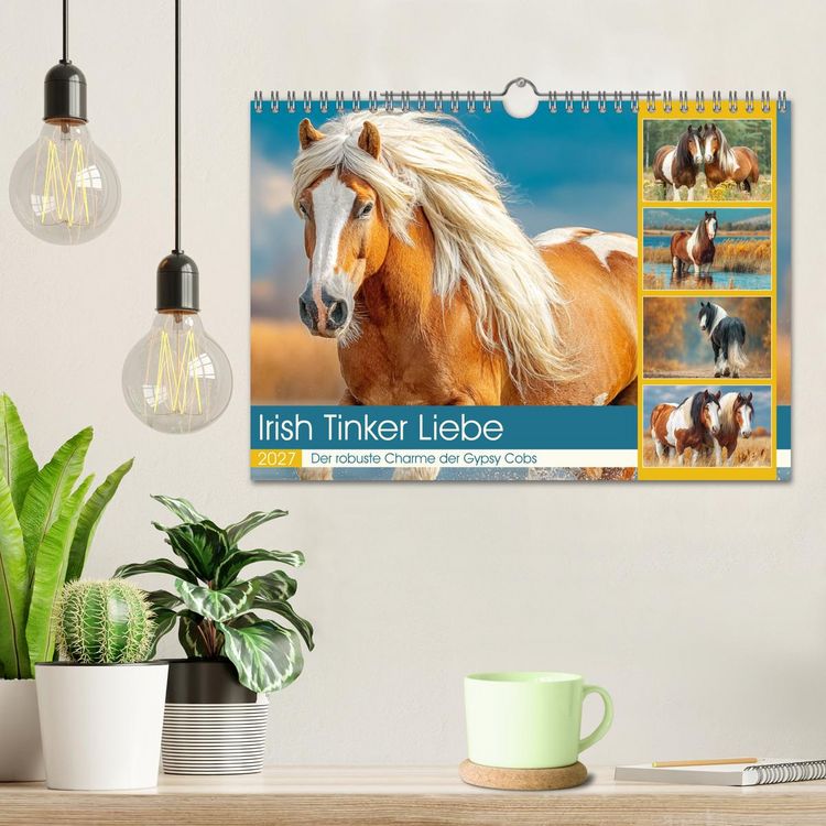 Produktbild: Irish Tinker Liebe. Der robuste Charme der Gypsy Cobs (Wandkalender 2027 DIN A4 quer), CALVENDO Monatskalender