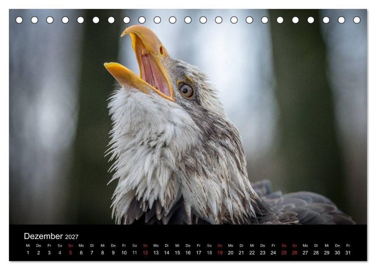 Produktbild: Sch&ouml;nheiten der L&uuml;fte - Greifv&ouml;gel (Tischkalender 2027 DIN A5 quer), CALVENDO Monatskalender
