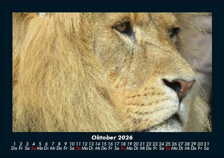 Produktbild: Tierkalender 2026 Fotokalender DIN A5