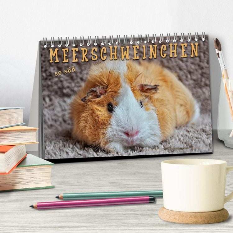Produktbild: Meerschweinchen - so s&uuml;&szlig; (Tischkalender 2026 DIN A5 quer), CALVENDO Monatskalender