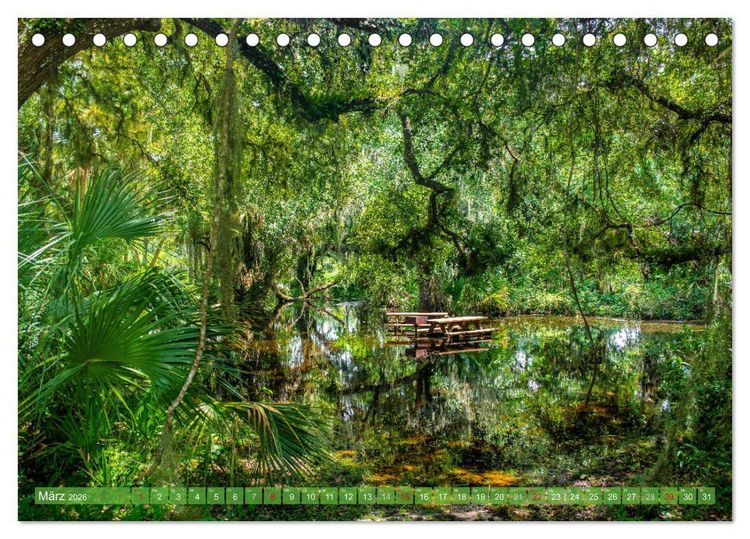 Produktbild: Florida - Sonnige Str&auml;nde und magische S&uuml;mpfe (Tischkalender 2026 DIN A5 quer), CALVENDO Monatskalender