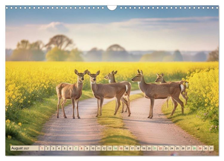 Produktbild: Zwischen den Feldern (Wandkalender 2027 DIN A3 quer), CALVENDO Monatskalender