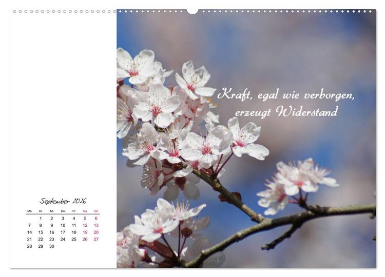 Produktbild: Innehalten in der Natur ... mit Weisheiten und Sprichworten der Indianer (hochwertiger Premium Wandkalender 2026 DIN A2 quer), Kunstdruck in Hochglanz