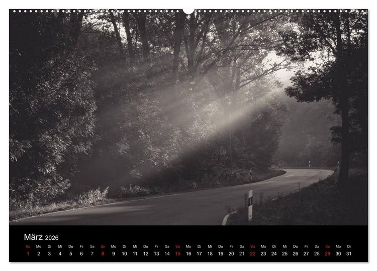Produktbild: B&auml;ume trees 2026 (Wandkalender 2026 DIN A2 quer), CALVENDO Monatskalender