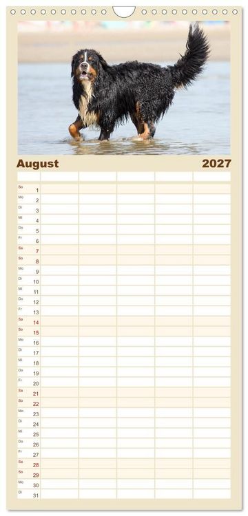 Produktbild: Familienplaner 2027 - Freunde auf vier Pfoten am Strand mit 5 Spalten (Wandkalender, 21 x 45 cm) CALVENDO