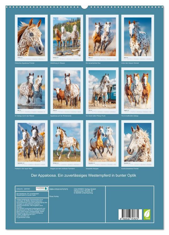 Produktbild: Der Appaloosa. Ein zuverl&auml;ssiges Westernpferd in bunter Optik (hochwertiger Premium Wandkalender 2027 DIN A2 hoch), Kunstdruck in Hochglanz