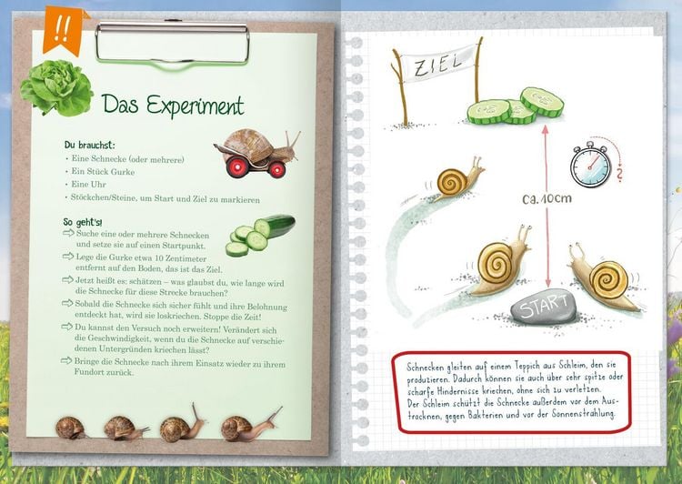Produktbild: Naturforscher-Kids &ndash; Mein erstes Naturforscher-Buch