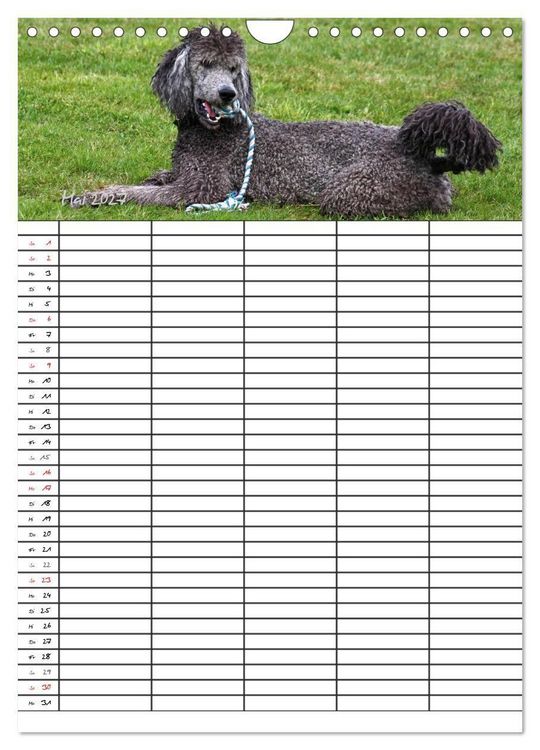Produktbild: Der Pudel-Familienplaner (Wandkalender 2027 DIN A4 hoch), CALVENDO Monatskalender