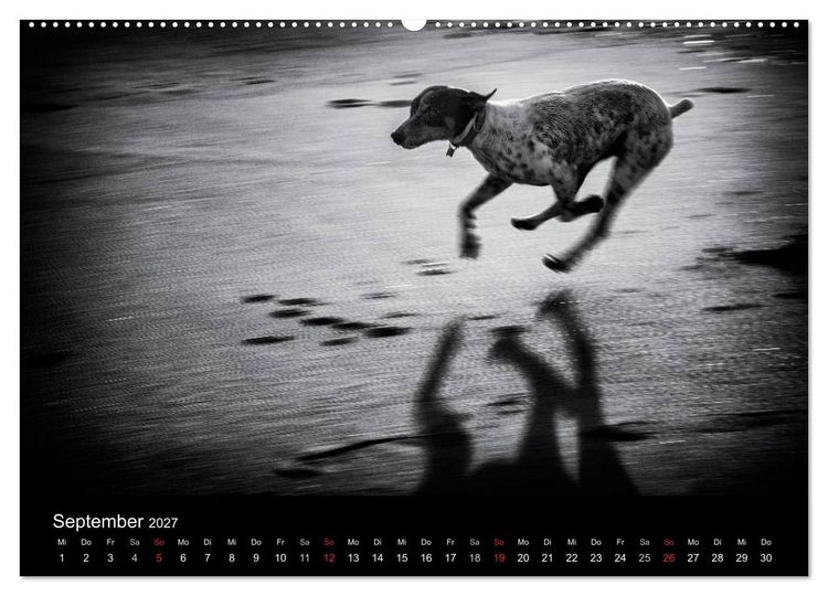 Produktbild: Das Licht in Schwarz und Wei&szlig; (hochwertiger Premium Wandkalender 2027 DIN A2 quer), Kunstdruck in Hochglanz